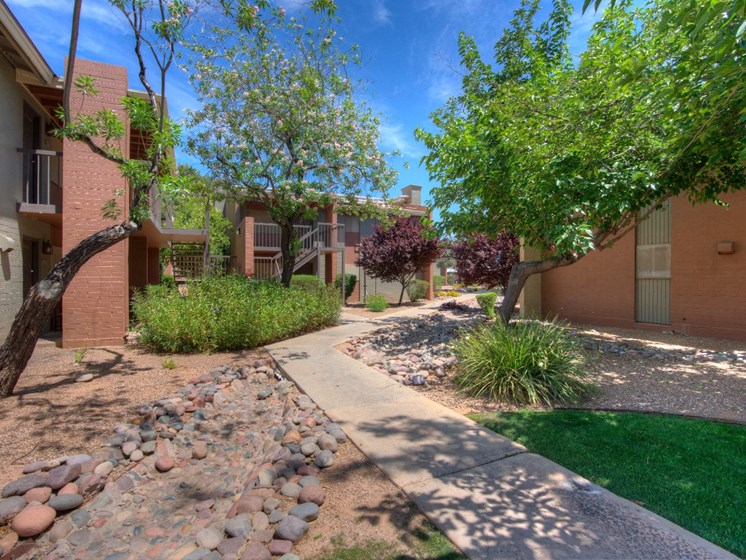 Landscaping at Copper Creek in Tucson, AZ